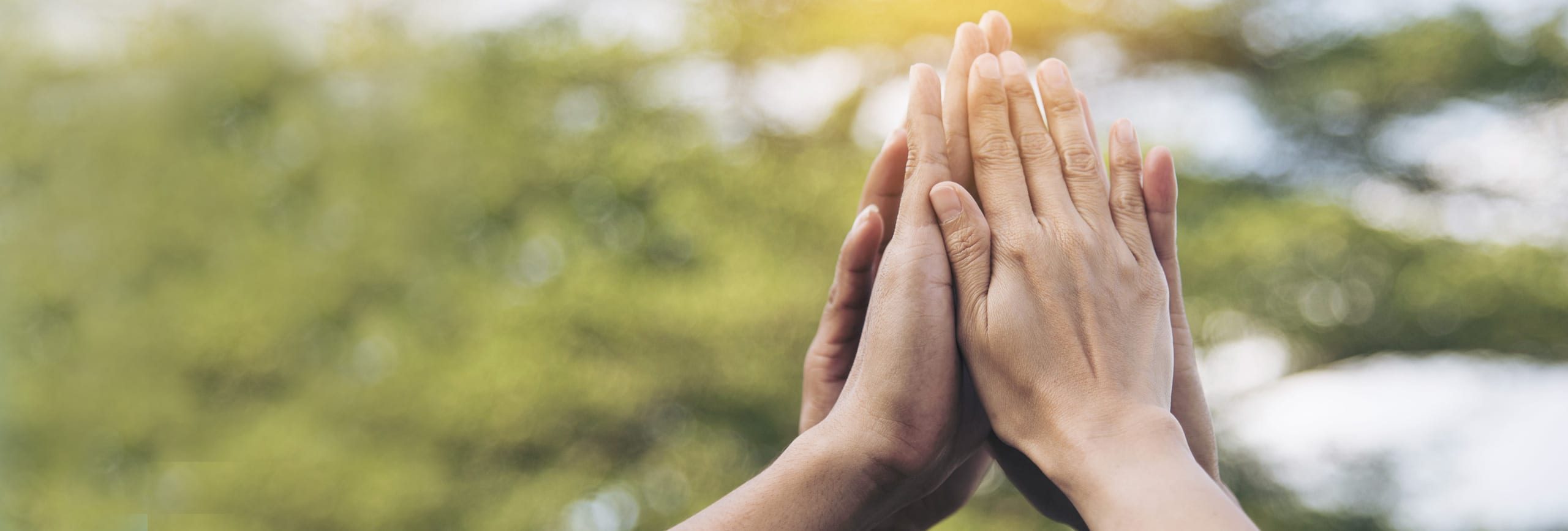 les mains de quatre personnes se rejoignent sur fond d'arbres et de ciel